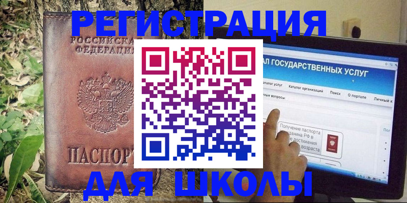 прописка для школы в Щёкино